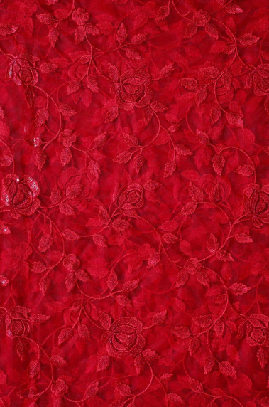 Navya Doe Net Saree with floral embroidery