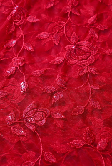 Navya Doe Net Saree with floral embroidery