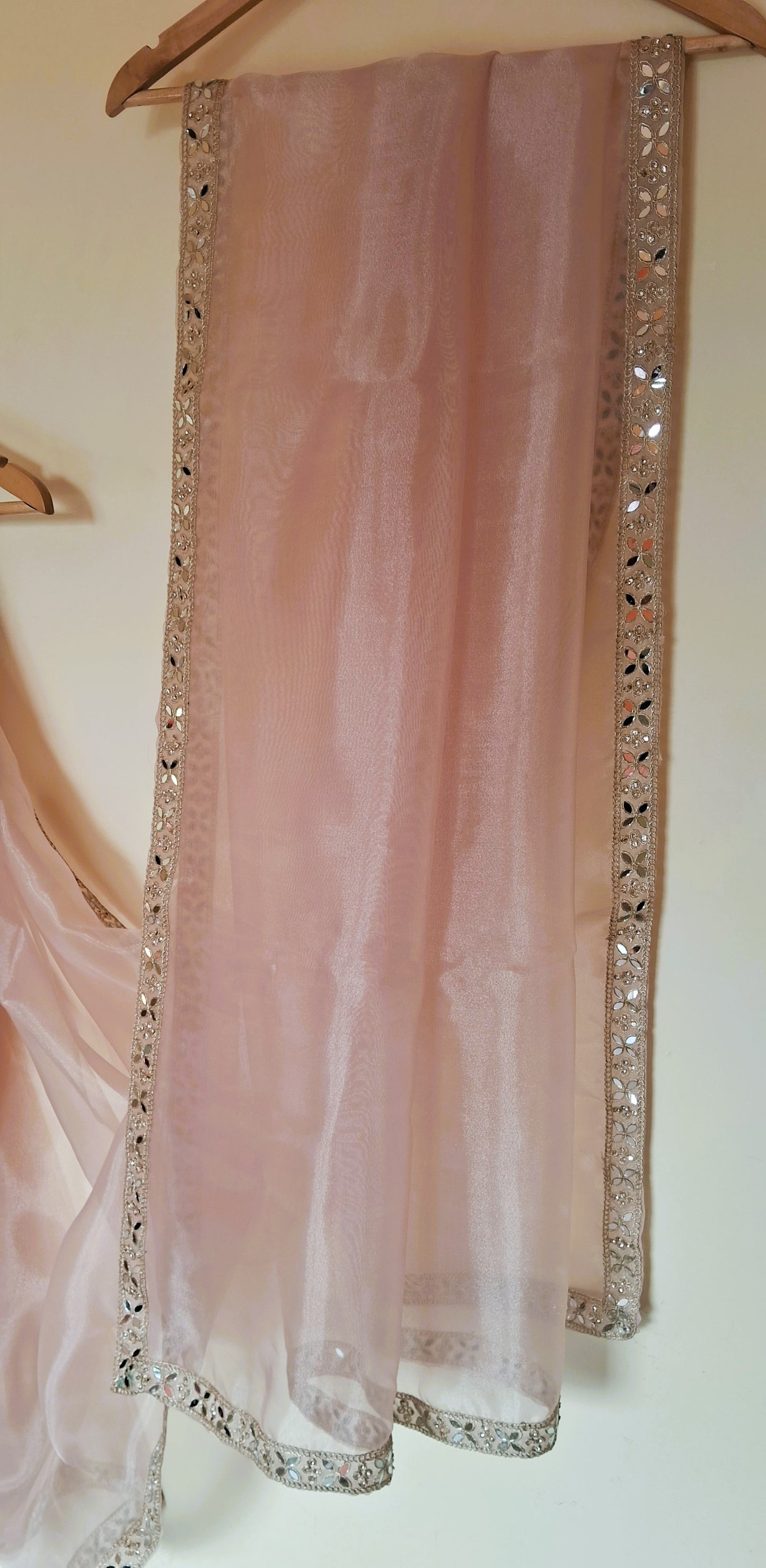 Light Pink Tissue Organza Saree.