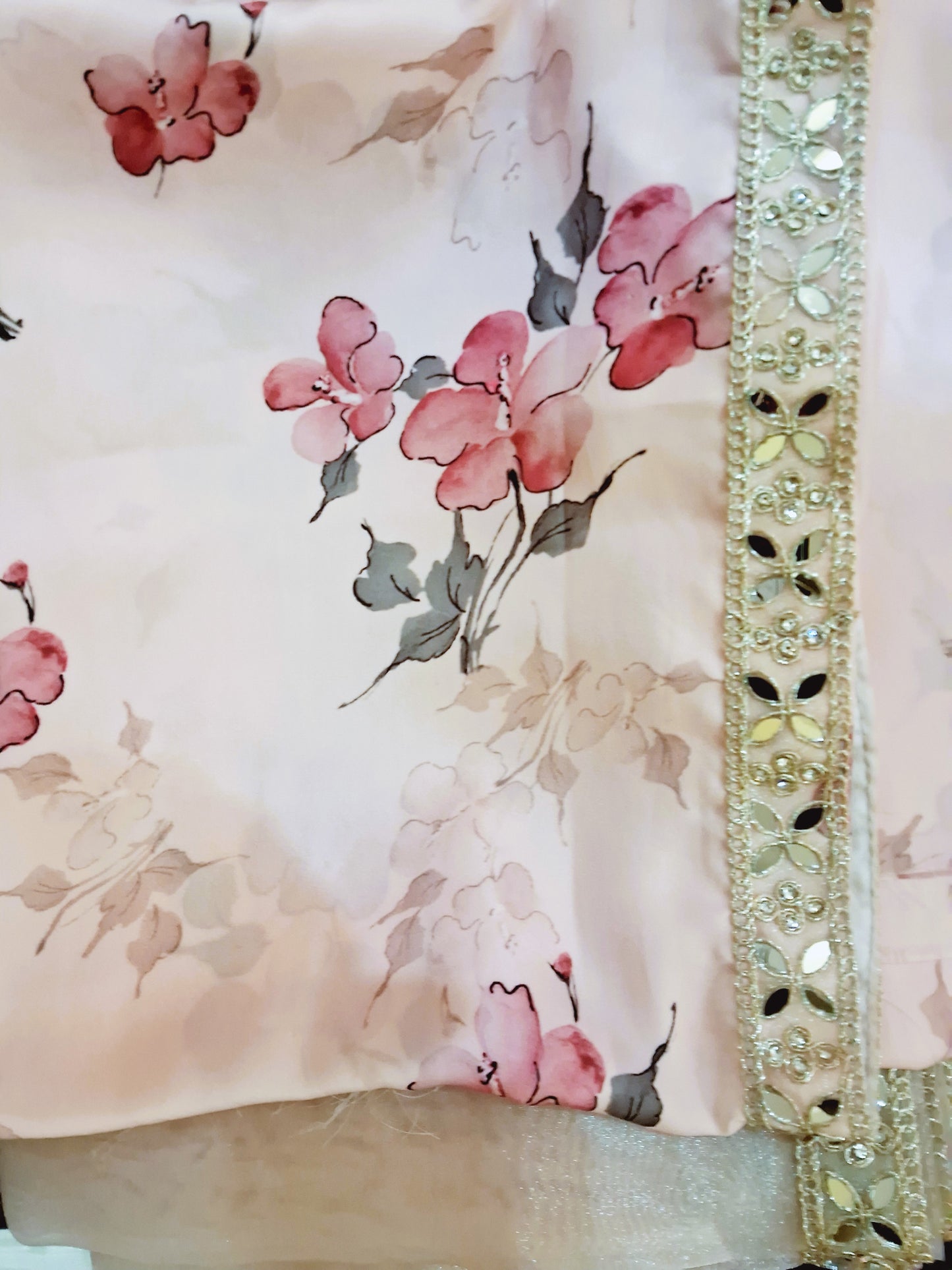 Light Pink Tissue Organza Saree.