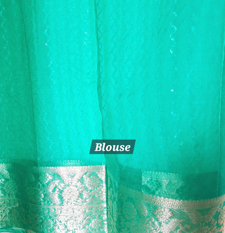 Green Organza Saree with Banarasi Zari Border